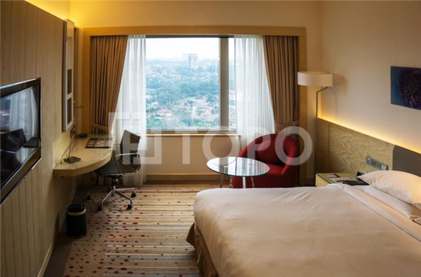 Project - Double Tree