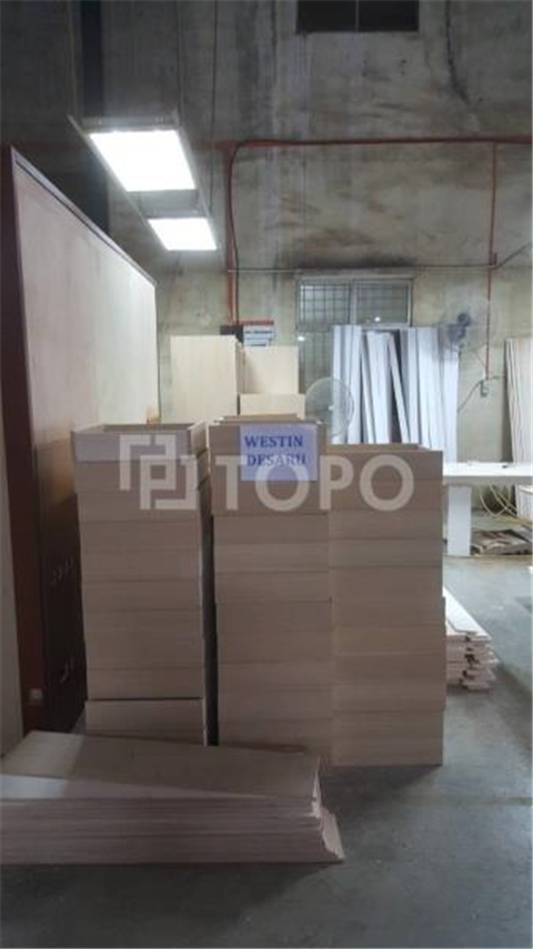 Project - Westin Desaru (Processing)