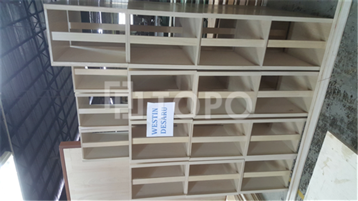 Project - Westin Desaru (Processing)